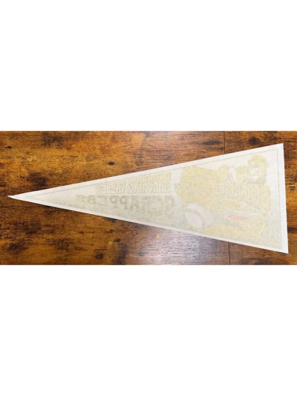 Vintage Mahoning Valley Scrappers baseball Inaugural Season pennant